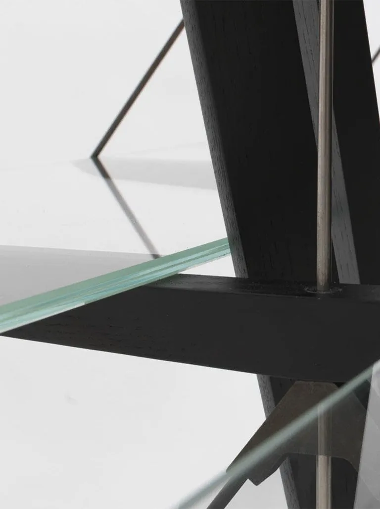 838 veliero bookcase by franco albini