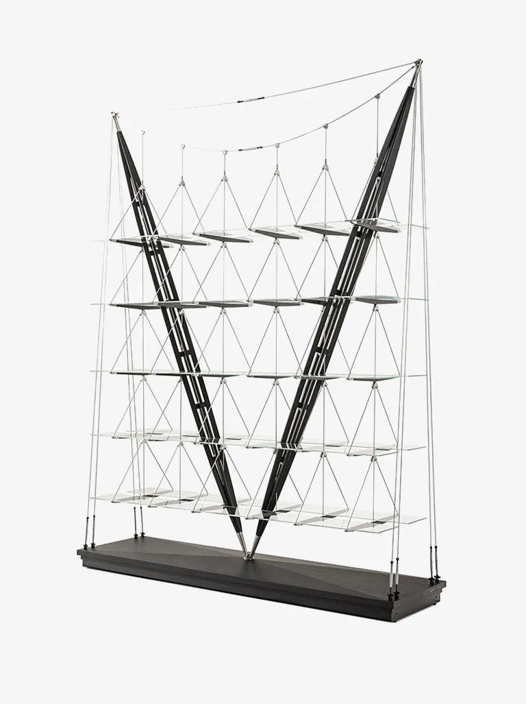 838 veliero bookcase by franco albini