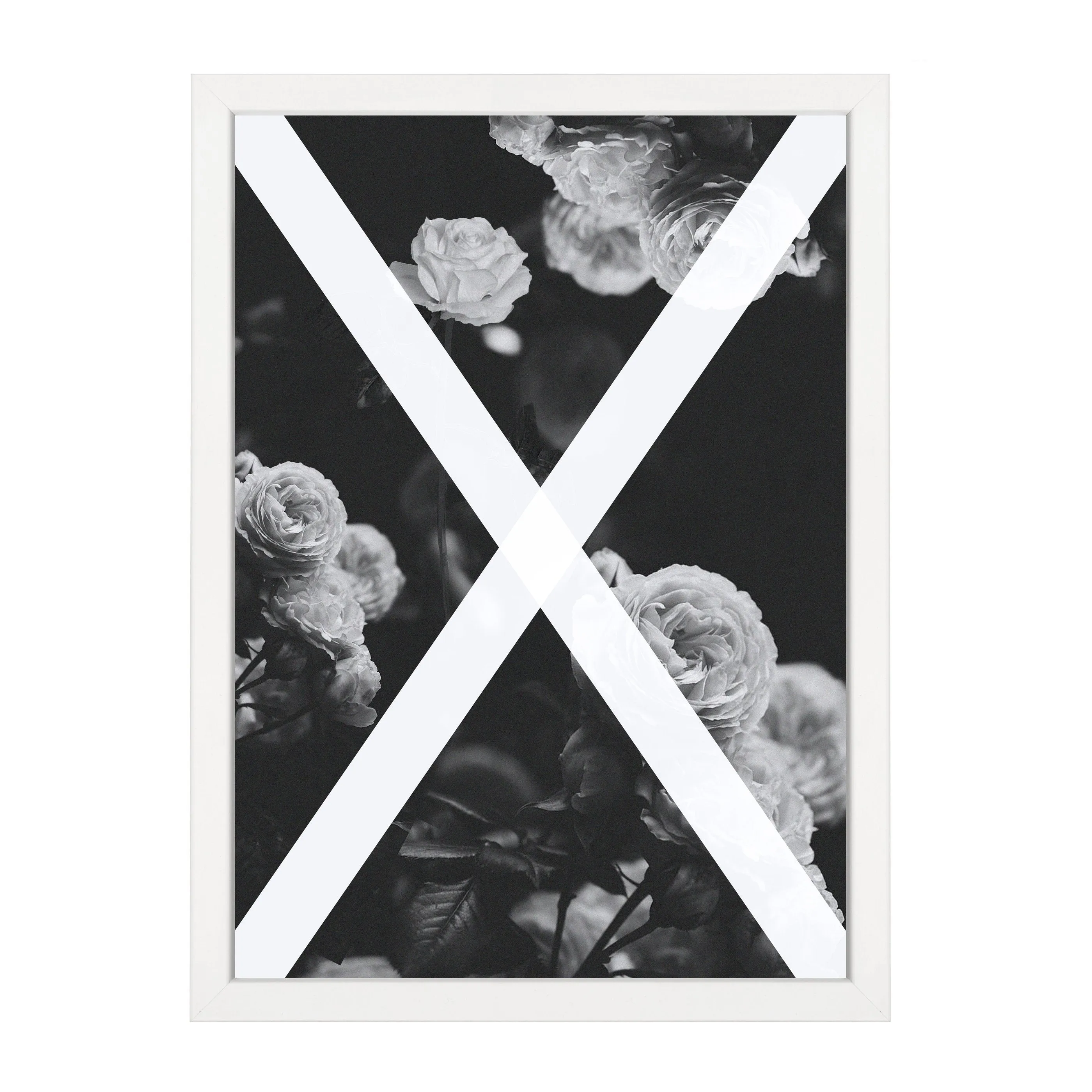 ALCHEMY PRINT