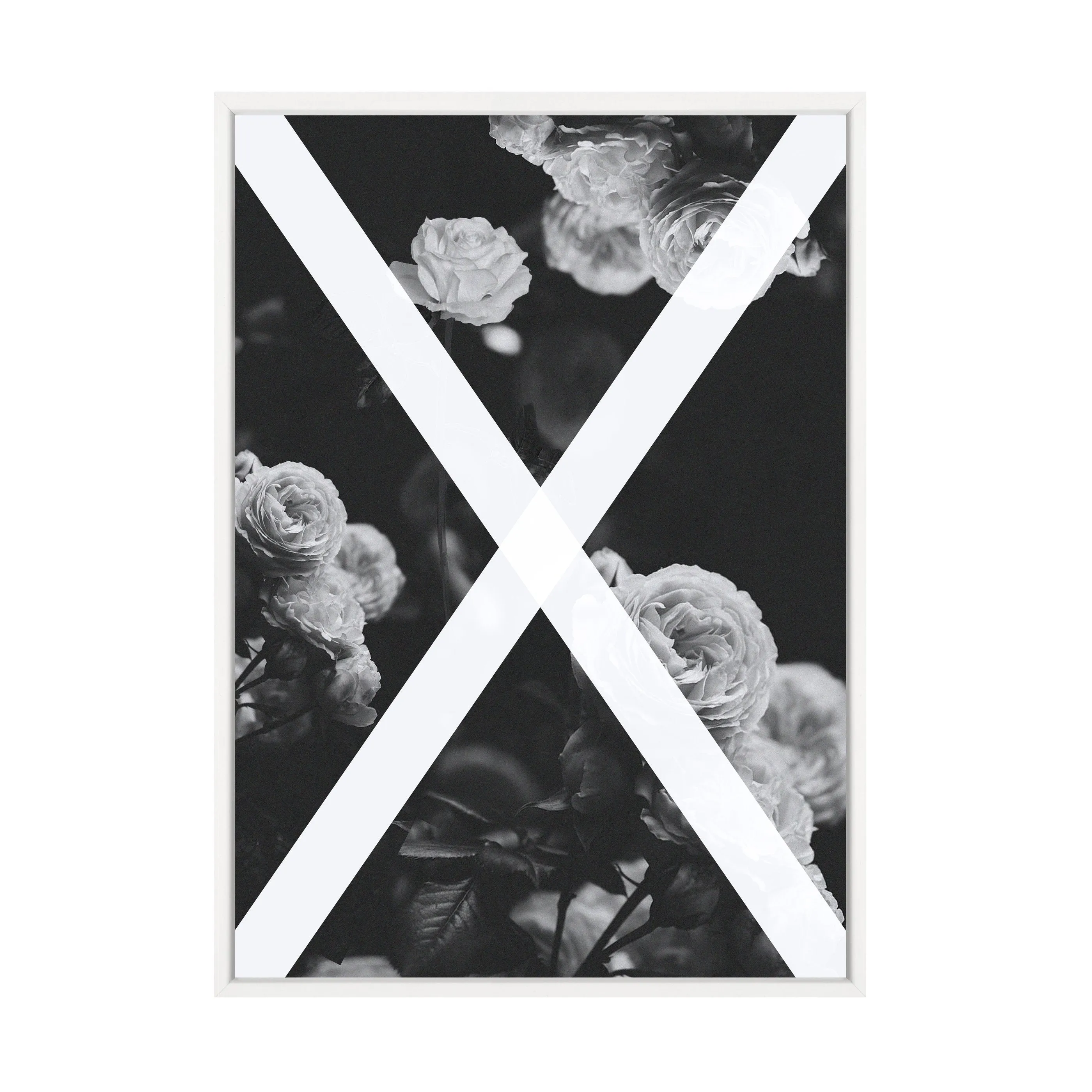 ALCHEMY PRINT