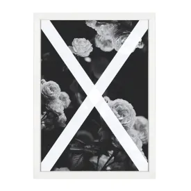ALCHEMY PRINT