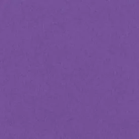 Bazzill Smoothies - 12x12 - Grape Delight