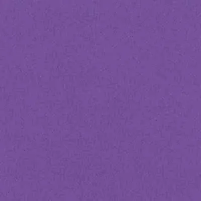 Bazzill Smoothies - 12x12 - Grape Delight