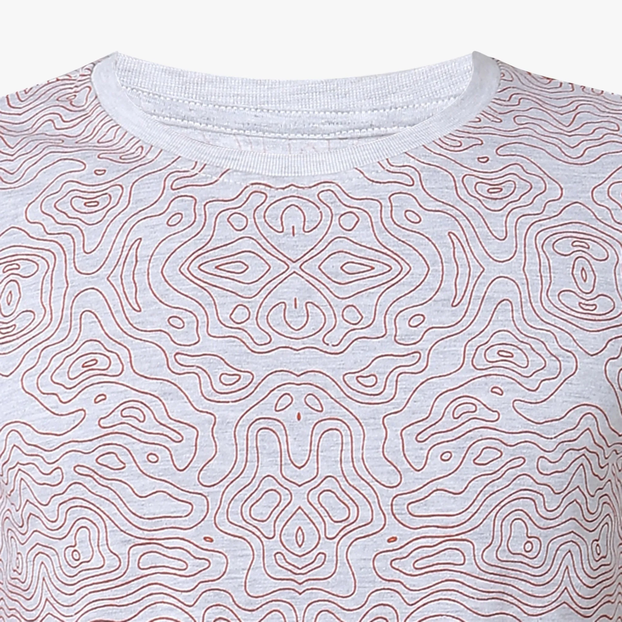 Boy's Regular Fit Printed T-Shirt
