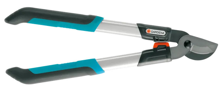 Bypass Pruning Loppers