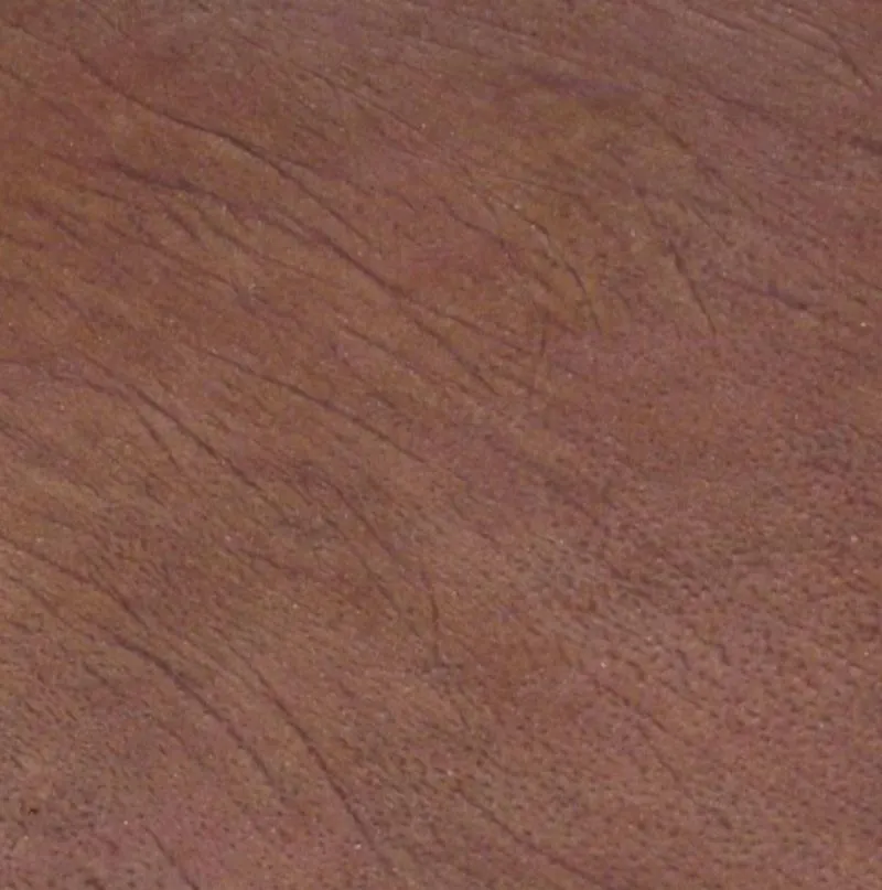Flexible Human Skin Prop 12 inch Square