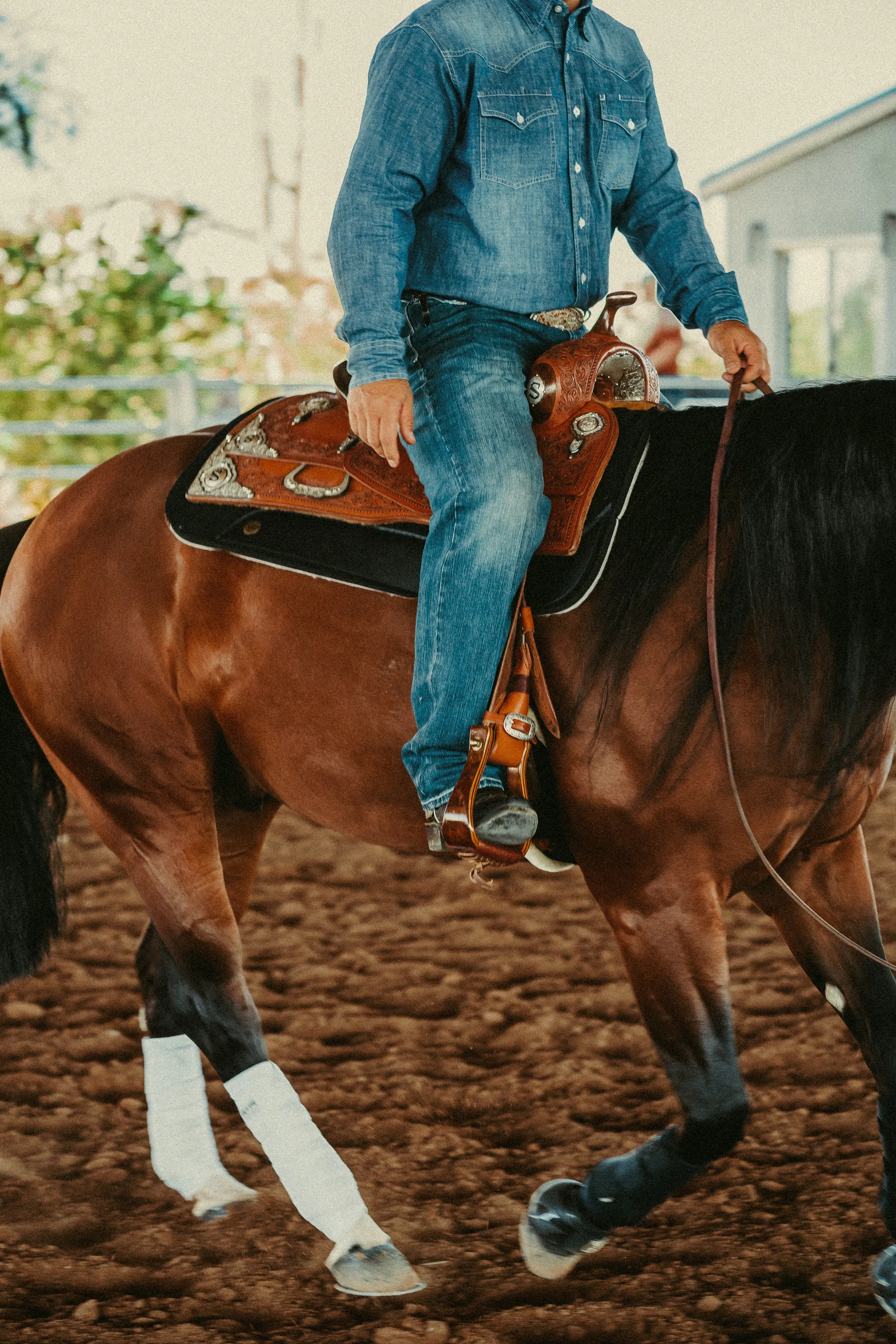 Maddox Western Saddle Pad