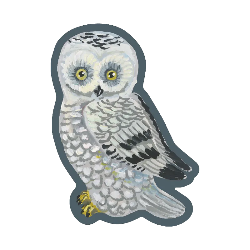 NOSO Patches