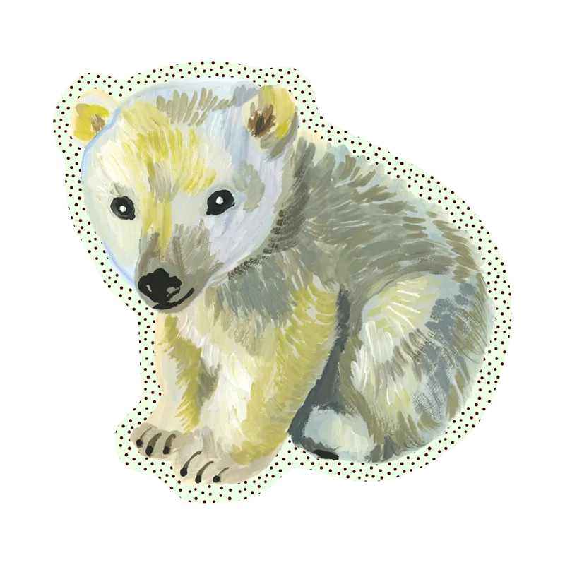 NOSO Patches