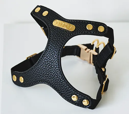 One Touch Leather Harness