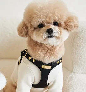 One Touch Leather Harness